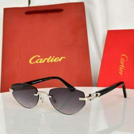 Picture of Cartier Sunglasses _SKUfw79479307fw